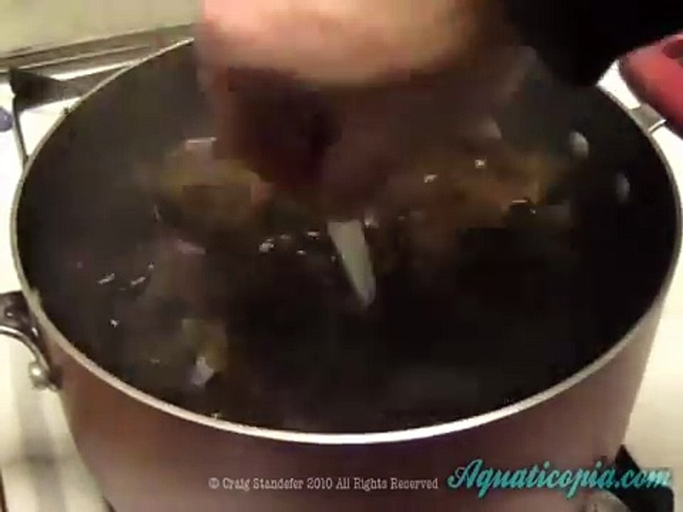 DIY Oak Blackwater Extract