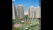 Rent In Noida Sector 5@call 01203803029 (4)
