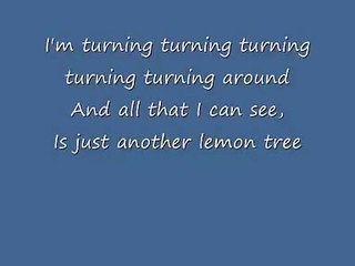 yellow lemon tree lyrics