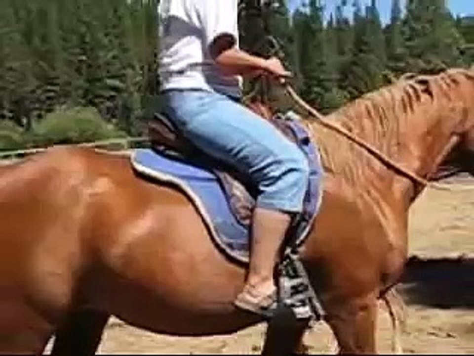 Emma P's Big Adventure