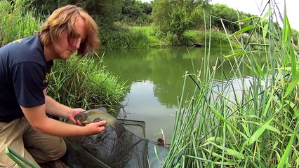 Hallcroft fishery Croft Pond Tench, Carp, Bream Waggler fishing
