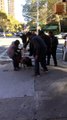 PITBULL dog Attack on poor Cat in New York Street