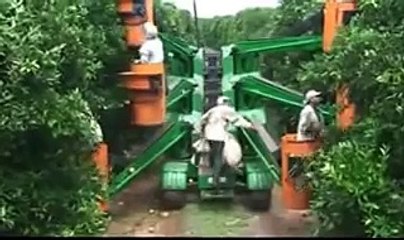 Picking fruit Machine - Agriculture Technology