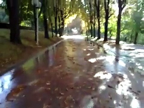 Post inondation, paris, 05/07/2011, Rien de tres impressionant