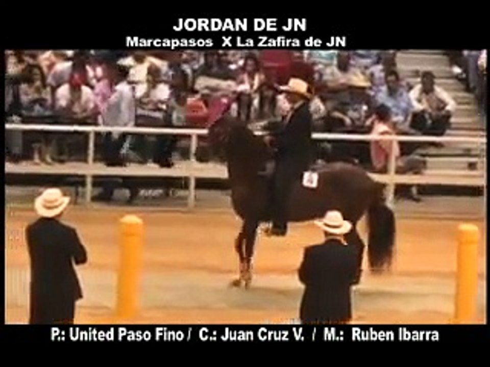Jordan de JN