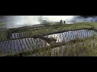 Rambo Soundtrack (Frank Stallone) - Peace in Our Life