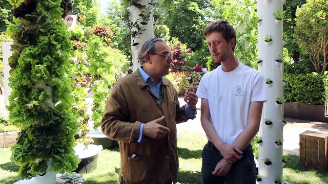 jardin nourricier, jardin potager, potager, créer un potager, planter des salades