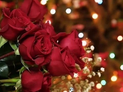 IO,TU E LE ROSE Orietta Berti