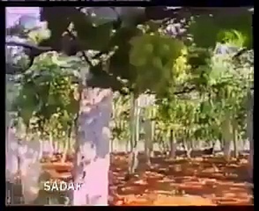 Qaroon Ka Khazana , Malika E Bilqees Ka Qissa With Video