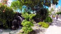Hawaii HD Gopro Road Trip spring break by TangBraw