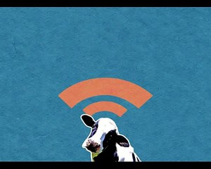 Asit C. Mehta Investment Interrmediates Ltd. Advert - 2