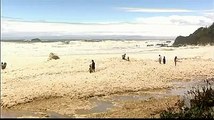 Mud Bath on Sea Shor what a view Subhan Allah