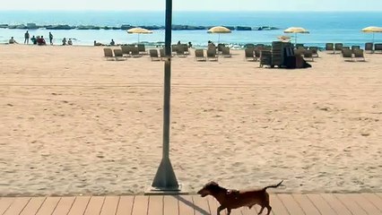 Ogilvy & Mather Europe pour Expedia - «Devenez aussi intéressant que vos voyages» - juin 2015 - Barcelone