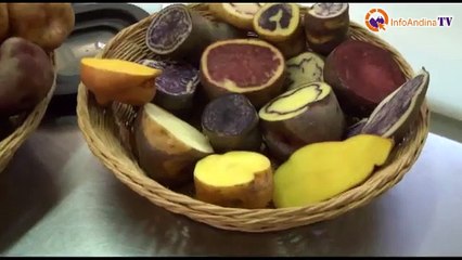 Recetas a base de Papa Nativa (lonchera escolar) - Especial InfoAndina TV