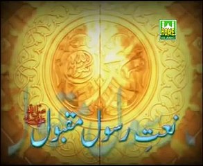 Haleema Mainu Naal Rakh Lay - Farhan Ali Qadri