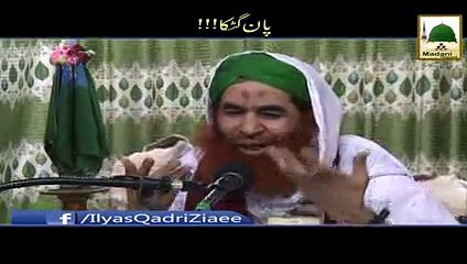 Pan Gutka - Maulana Ilyas Qadri