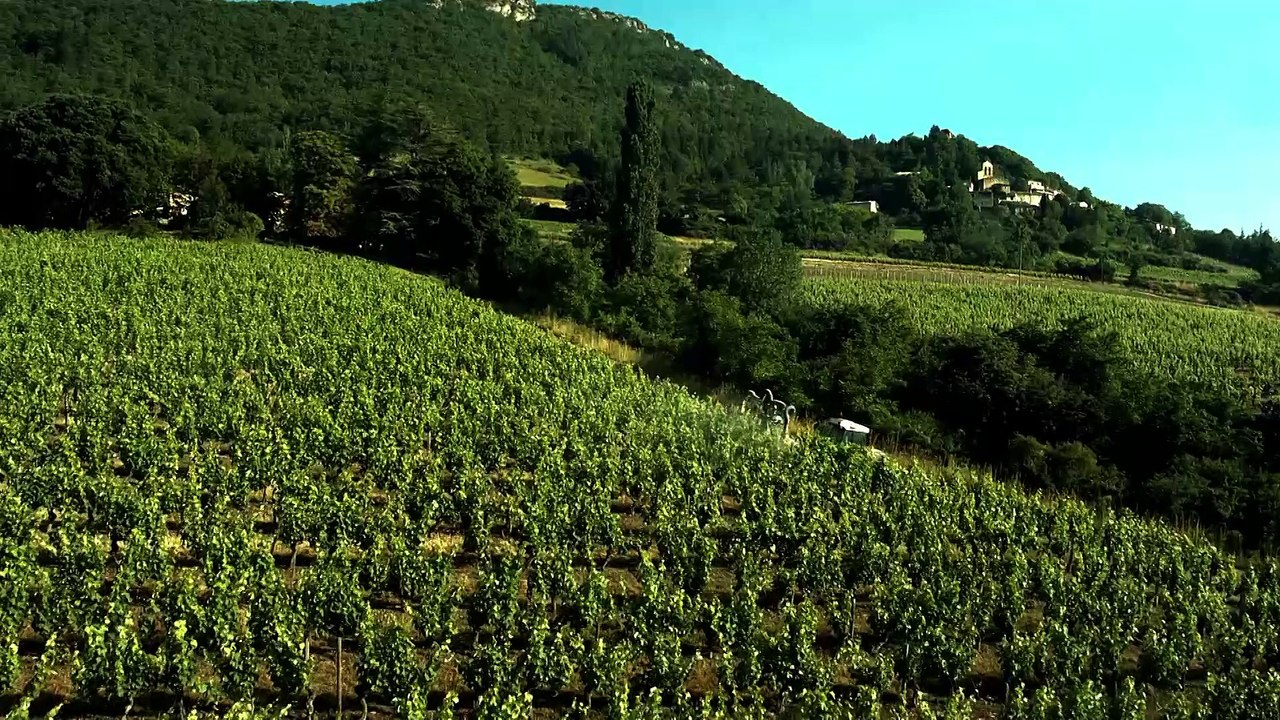 Domaine Peylong institutionnel