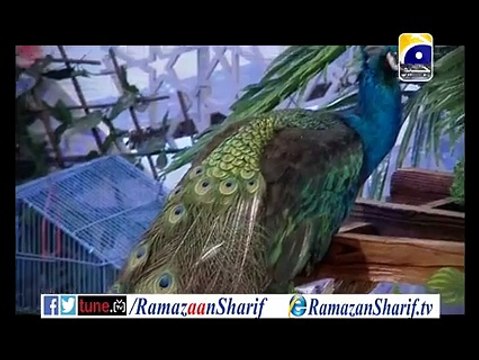 PROMO 2: Ramazan Sharif - رمضان شریف With Dr Aamir Liaquat hussaun GEO TV 2015