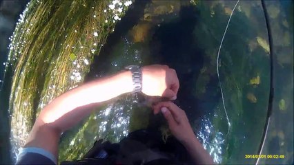 Templario Fly Fishing   El Bierzo