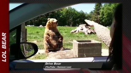 Zapping  : Mission Impossible 5 avec BMW !