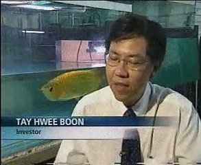 Farming the Arowana or Dragon Fish