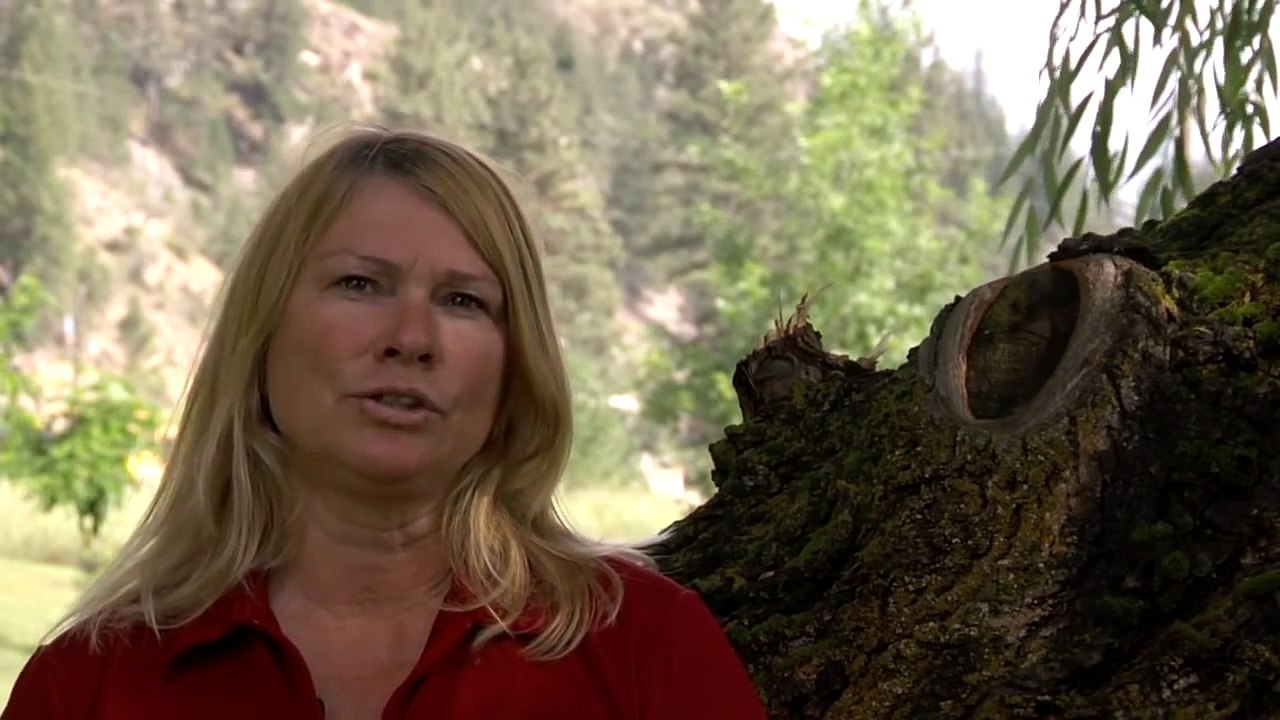 Supervisor Training - Characteristics of a Good Supervisor