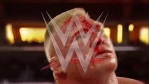 WWE Wrestlemania 31 - Brock Lesnar vs Roman Reigns Full Match HD