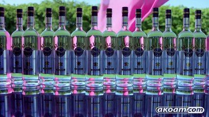 Back It Up ft.-akoam.com