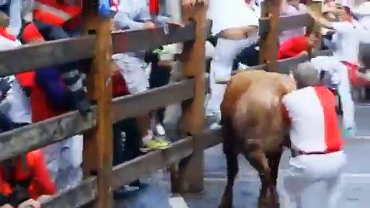 Bull Fighting -watch this video
