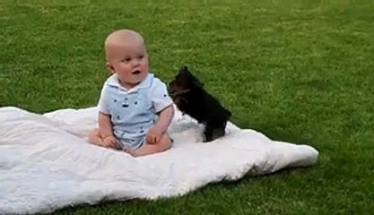 Adorable Puppy Attacks Baby