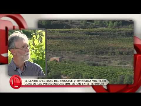 TV3 - Divendres - Subirats, capital de la vinya (II)