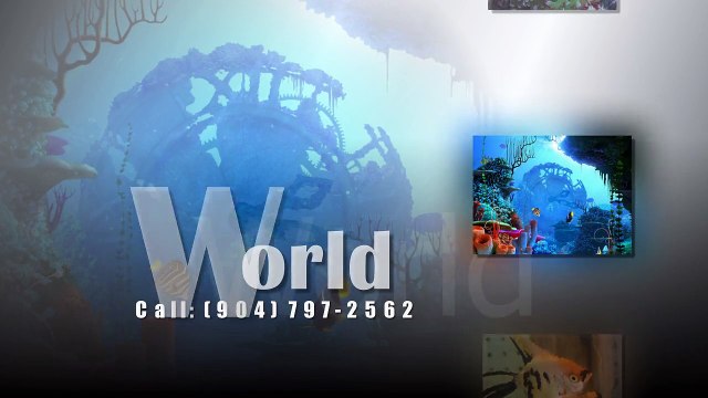 St. Augustine FL, Pet World Coral Stores | 904-797-2562 | Pet World St. Augustine, Florida.