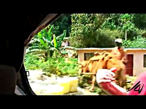 Bob Marley - Nine Mile Jamaica