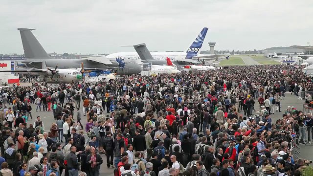 Les avions Dassault présents - Bourget 2015 - Dassault Aviation