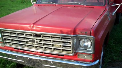 Cold Start 1975 Chevy C30 Dump Truck