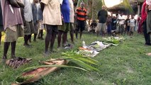 Healing Seekers PNG Ant Medicine