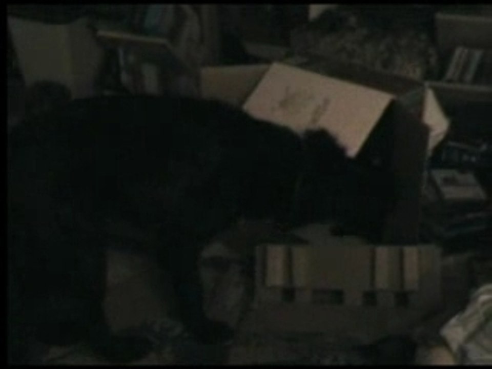 Dans un carton
