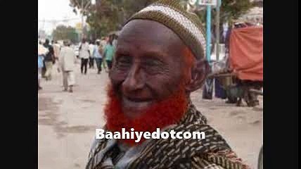 Sheeko qosol badan qabiil kaftan