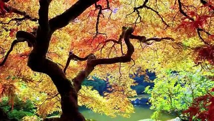 Orietta Berti     'Non Illuderti Mai'