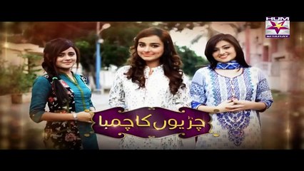 Chirryon Ka Chamba Episode 34 - 11 June 2015 - Hum Sitarey