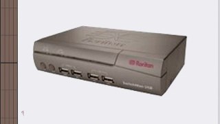 Raritan 2PORT SWITCHMAN KVM SWITCH USB ( SW2-USB )