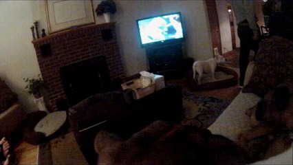 GoPro Dog Collar POV Test - Treat Time - First person perspective - HD