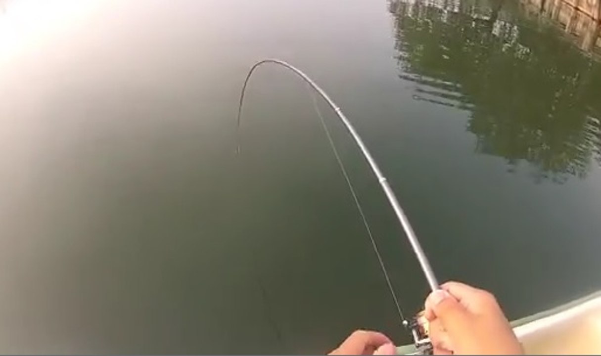 Olta İle Balık Tutma