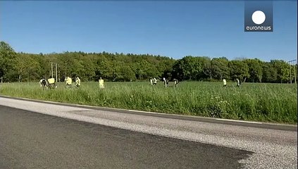 Suecia: cientos de personas buscan a Lisa