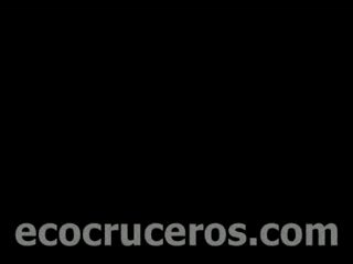 Islas palomino:lobos de mar