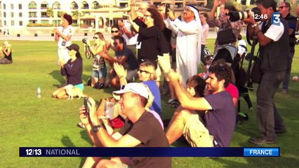 L'aigle pêcheur fait son retour en France