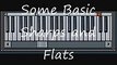 Piano Lesson Basics Step 3 - Learning Some Sharps and Flats