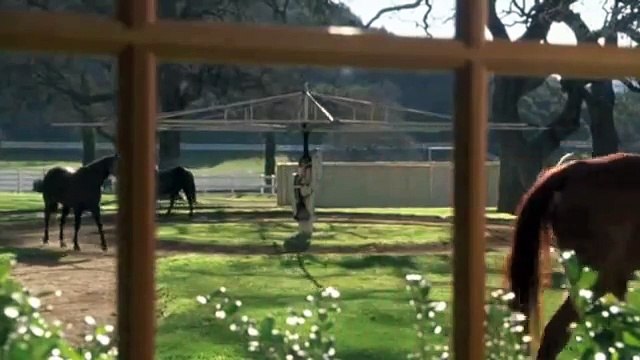 Princess Diaries 2: Royal Engagement - Chris Pine