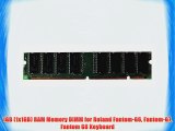 1GB (1x1GB) RAM Memory DIMM for Roland Fantom-G6 Fantom-G7 Fantom G8 Keyboard