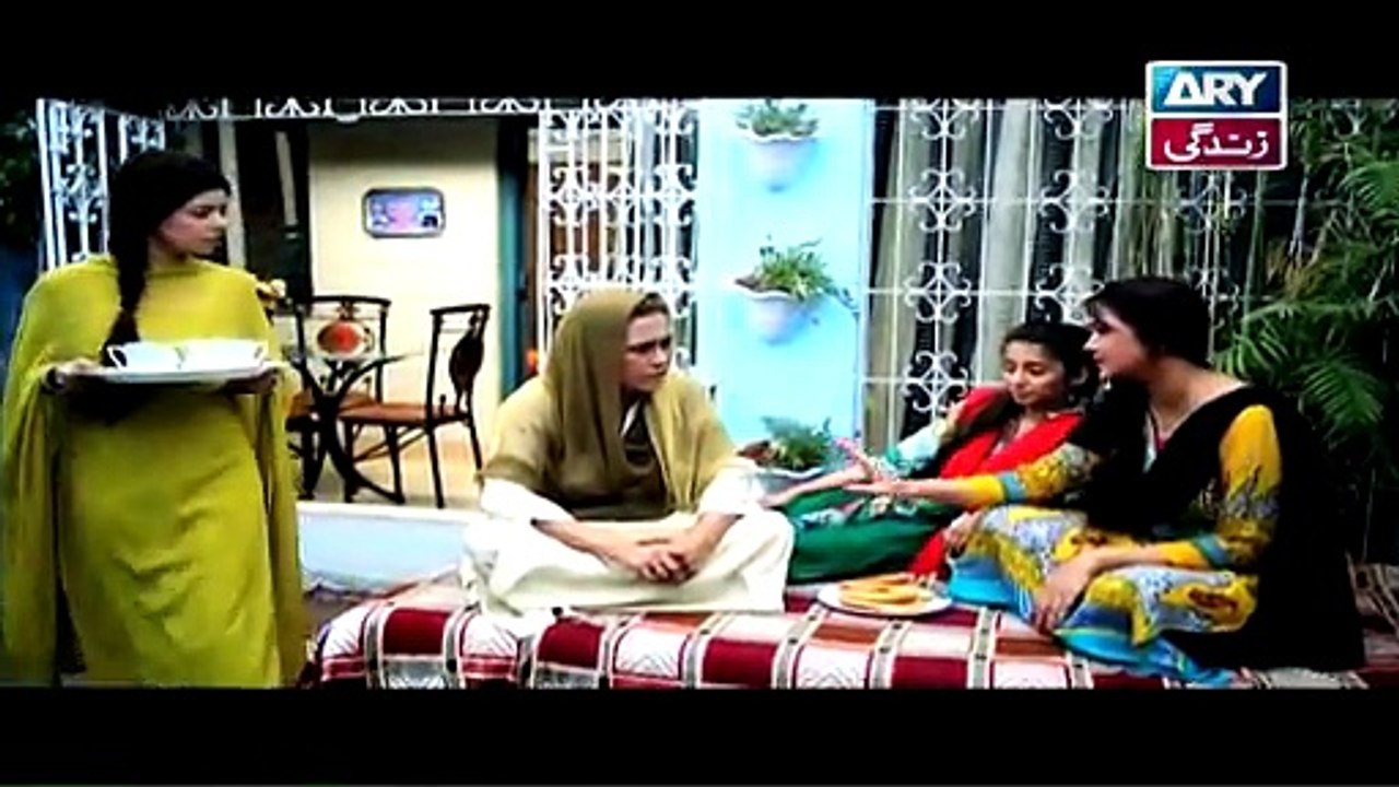 Raja Indar Episode 24 Full On ARY Zindagi 11th June 2015